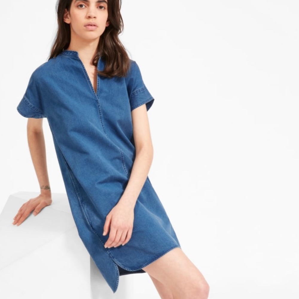 Everlane Splitneck Dress 👗 Jean